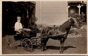 Real Photo Postcard Boy Sitting in Wicker Chair Inside Pony Horse Pulled Cart