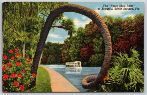 Horse Shoe Palm Silver Springs Florida FL UNP Linen Postcard K4