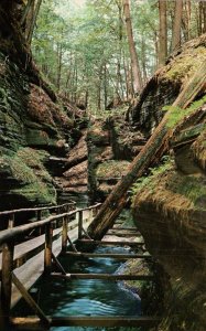 Withces Gultch,Wisconsin Dells,WI BIN