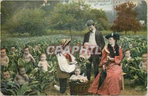 Postcard Old Children in cabbage