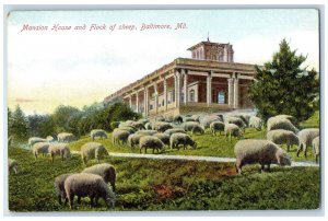 c1910 Mansion House Flock Sheep Baltimore Maryland MD Vintage Antique Postcard 