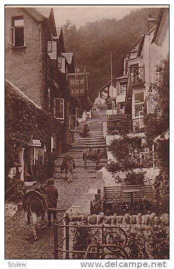 RP; High Street, Donkeys on cobblestone road, New Inn, Clovelly, England, Uni...