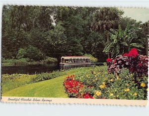 Postcard Beautiful Florida's Silver Springs, Florida