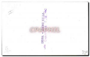 Old Postcard Kenya Zebra