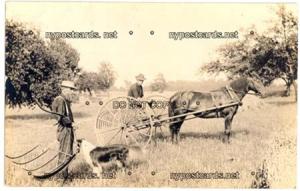 RPPC, Horse Drawn Hay Rake, unknown