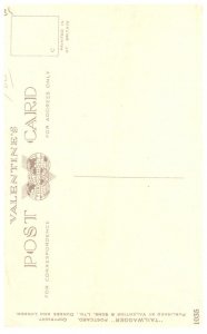 Dog , Terrier ,  artist signed