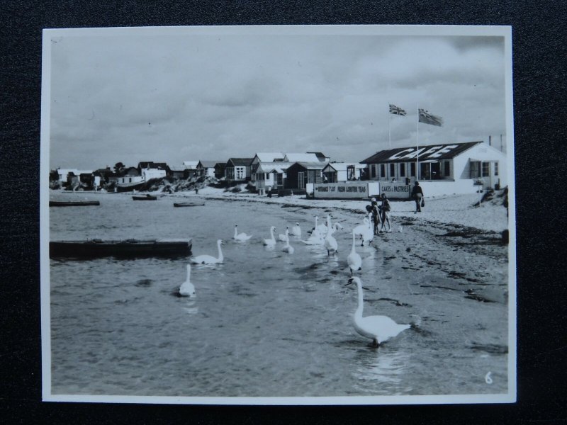 Dorset MUDEFORD Sand Banks c1950's RP Photocard 65 x 82mm