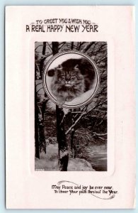 RPPC  HAPPY NEW YEAR Embossed Winter  FLUFFY CAT Davidson Bros. c1910s  Postcard