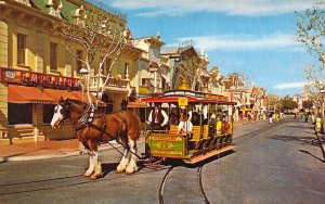 Disneyland, 010265, Horse Drawn Street Car Magic Kingdom, Old Postcard