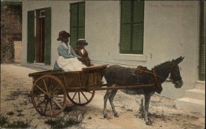 Bermuda Donkey Pulls Native Woman and Boy in Cart c1910 Vintage Postcard