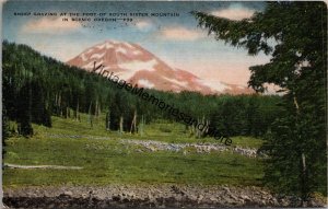 Sheep Grazing at the Foot of South Sister Mountain Oregon Postcard PC325