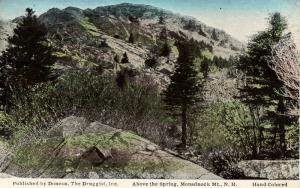 NH - Mt Monadnock. Above the Spring