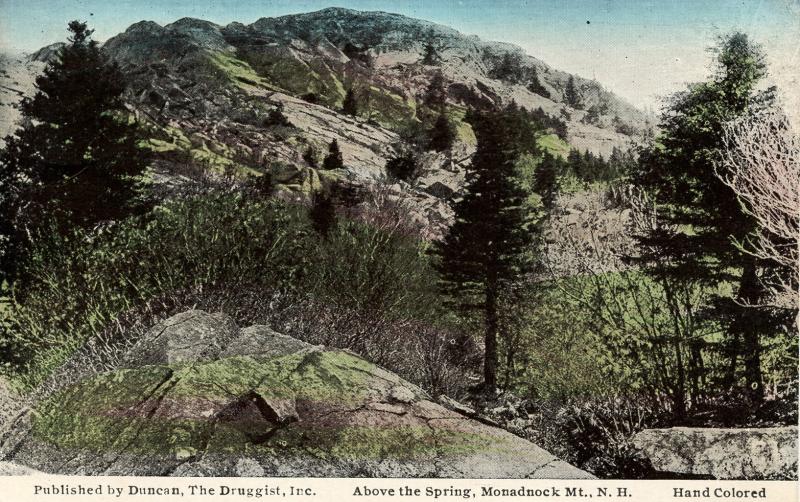 NH - Mt Monadnock. Above the Spring