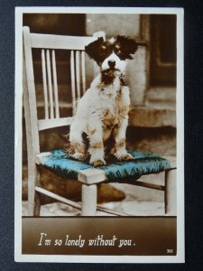 Portrait TERRIER Dog Breed IM SO LONELY WITHOUT YOU c1930s RP Postcard