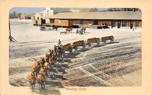 Hauling Grain Farming Unused 