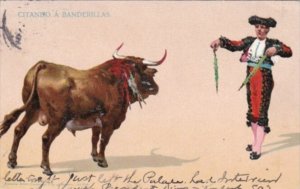 Bull Fight Citando A Banderillas 1907