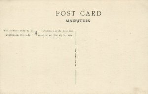 mauritius, Tamarin Fall, Native Types Creoles, Bananas (1910s)