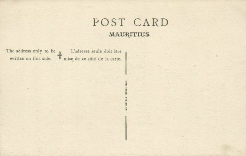 mauritius, Tamarin Fall, Native Types Creoles, Bananas (1910s)