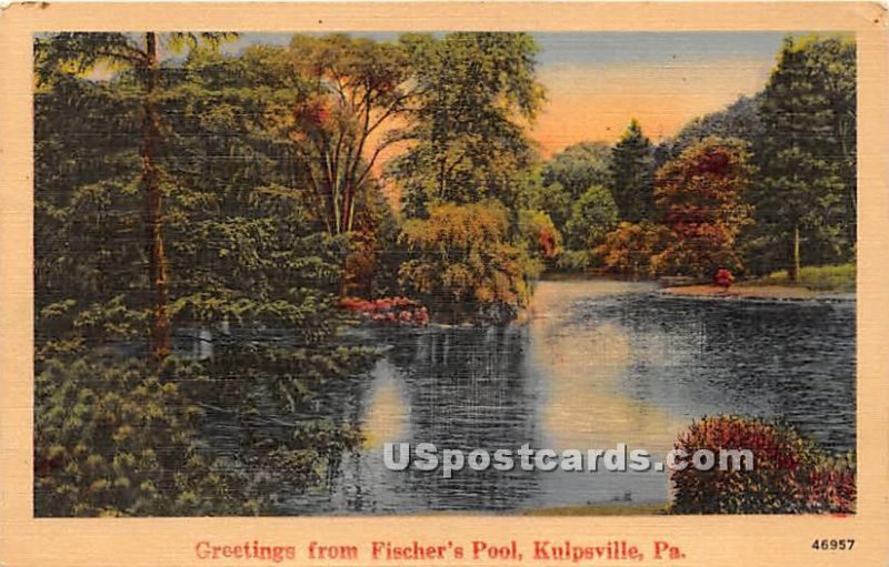 Fischer's Pool - Kulpsville, Pennsylvania