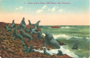 Seals on Seal Rocks, Cliff House, San Francisco 1915, Unused