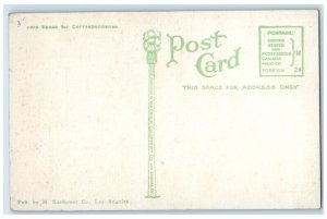 1910 Okeechobee Largest Alligator California Alligator Farm Los Angeles Postcard