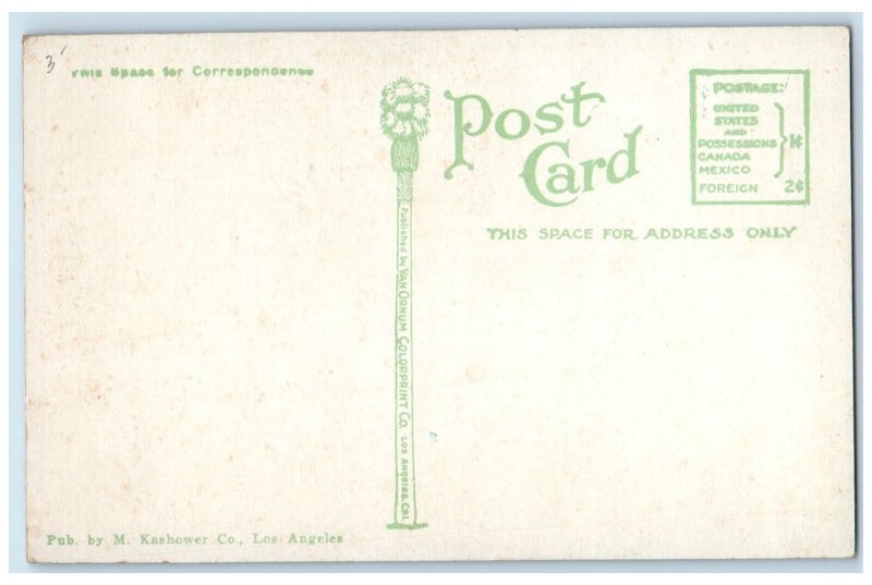 1910 Okeechobee Largest Alligator California Alligator Farm Los Angeles Postcard