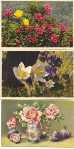 Beautiful flowers Lor of nineteen (29) old vintage PC. Early 20th century