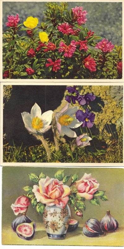 Beautiful flowers Lor of nineteen (29) old vintage PC. Early 20th century