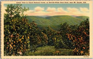 Ozark National Forest View Bidville-White Rock Rd Mt Gayler AR Postcard E21