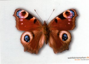 POSTCARD. GERMANY. Motive. Butterfly.