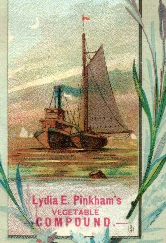 1880s Lydia E. Pinkham's Vegetable Compound Quack Medicine Lot Of 2 P229 