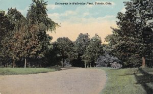 TOLEDO, Ohio, 1900-1910s; Driveway In Walbridge Park