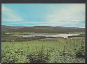 Northumberland Postcard - Bakethin Reservoir, Kielder Water    T7930