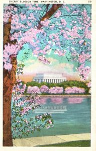 Vintage Postcard Japanese Cherry Blossom Beautiful Attractive Washington D.C.