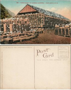 PIGEON RANGE LOS ANGELES CALIFORNIA COAST LINE S.P.R.R. ANTIQUE POSTCARD