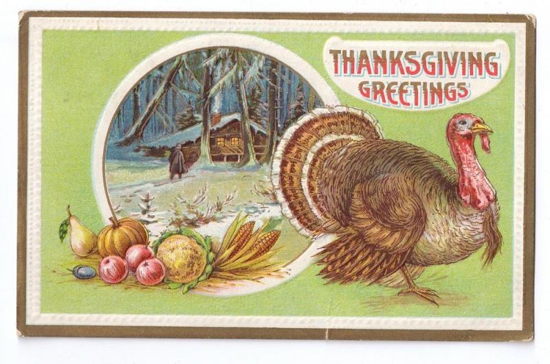 Thanksgiving Turkey Log Cabin Snow Winter Scene Vintage Embossed Postcard