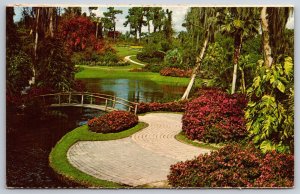 Flowers~Florida~Cypress Gardens Rustic Bridge Over Pond Scene~Vintage Postcard
