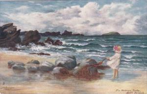 Tucks The Harbours Rocks North Berwick