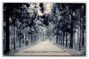 Forest of Pines Sete Citades St Michael's Azores Portugal UNP DB Postcard Q24