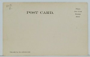 Lancaster Pa WILD CAT FALL HOTEL Along the Susquehanna River c1906 Postcard N5