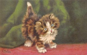 CAT D. MERLIN ARTIST SIGNED POSTCARD (c. 1940s)