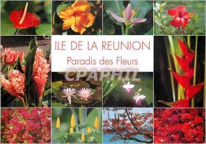Modern Postcard Island of paradise flowers meeting