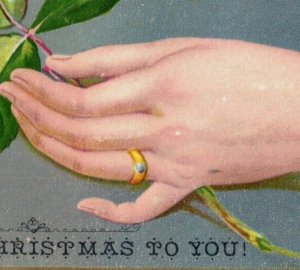 1880s Embossed Victorian Christmas Card Lady's Hand Red Rose Fab! #6K