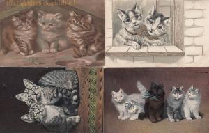 Hungry Kittens 4x Antique Cat Themed Postcard s