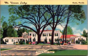 Linen Postcard Mt. Vernon Lodge in Ocala, Florida