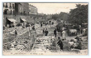 CANTERBURY, Kent, United Kingdom ~ View of THE MARKET  c1910s L L Postcard