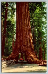 Yosemite National Park, California - Postcard