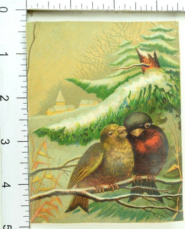 1870's Lovely Pair Couple of Birds Winter Snow Church Scrapbook Trade Card F91