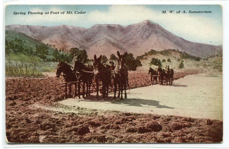 Spring Plowing Teams Farming Mt Cedar MWA Sanitorium Colorado 1910c postcard