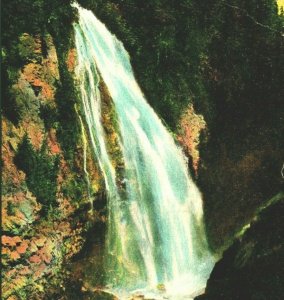 Mount Rainier National Park WA Washington Narada Falls DB  Postcard T15